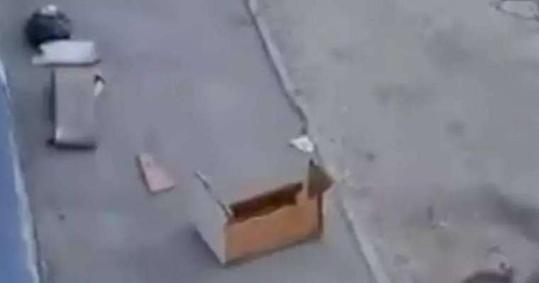 Үстіне алтыншы қабаттан диван түсіп кеткен ер адам сегіз айдан кейін қайтыс болды