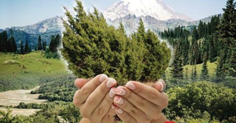 Географиядан сабақ жоспары: Табиғатты пайдалану түрлері №1 (10 сынып, I тоқсан) » ZHARAR