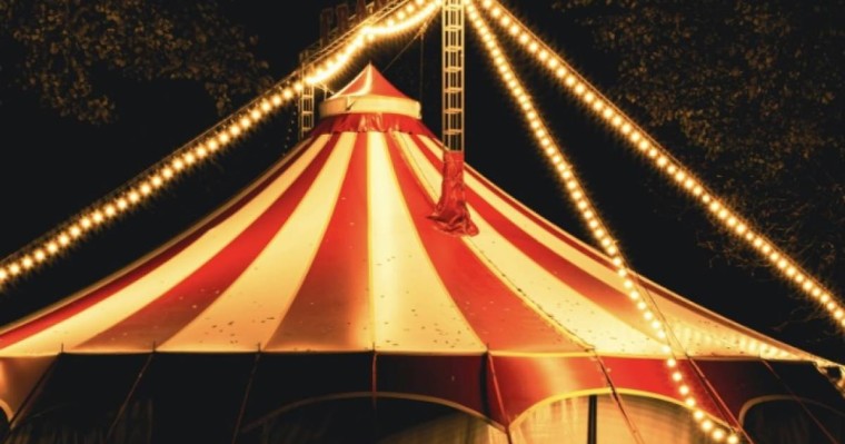 Енді Циркте жануарларды пайдалануға тыйым салынады