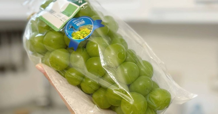 Шайын Мускат: блогерлердің жаңа тренді