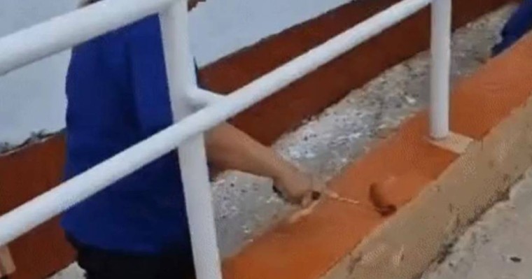 "Біз жөндеу жұмыстарын жүргізуге міндеттіміз бе?" - Алматы облысындағы мектеп тазалаушыларының бейнеүндеуі қызу талқылануда