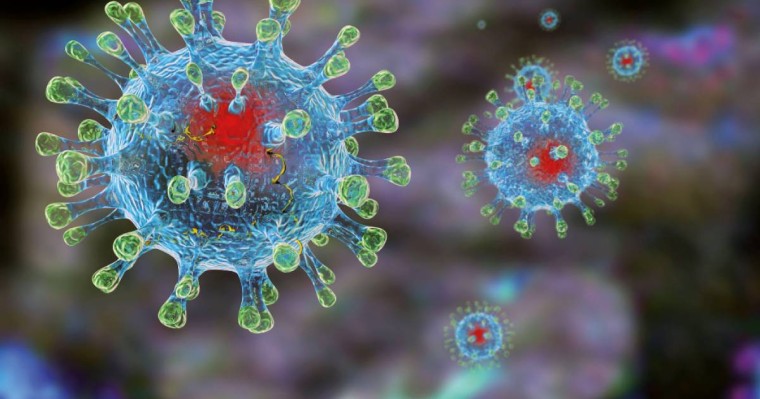 32 елдің ғалымдары ДДСҰ-ның коронавирус ұсыныстарын қайта қарауды талап етті