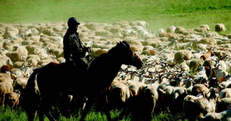 Жамбыл облысында екі әйелді айуандықпен өлтірген қойшының денесі табылды