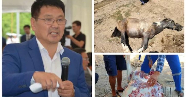 Маңғыстау жұрты індет тоқтасын деген ниетпен жылқыны құрбандыққа шалды