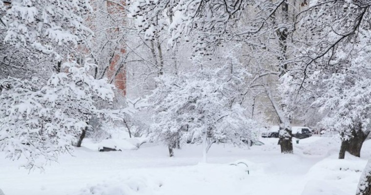 Жамбыл облысында қар жауды