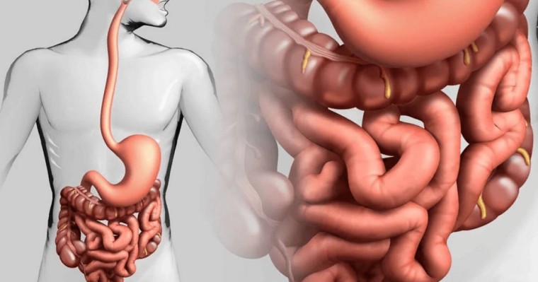 Ішек ауруларымен ауыратындар артып барады