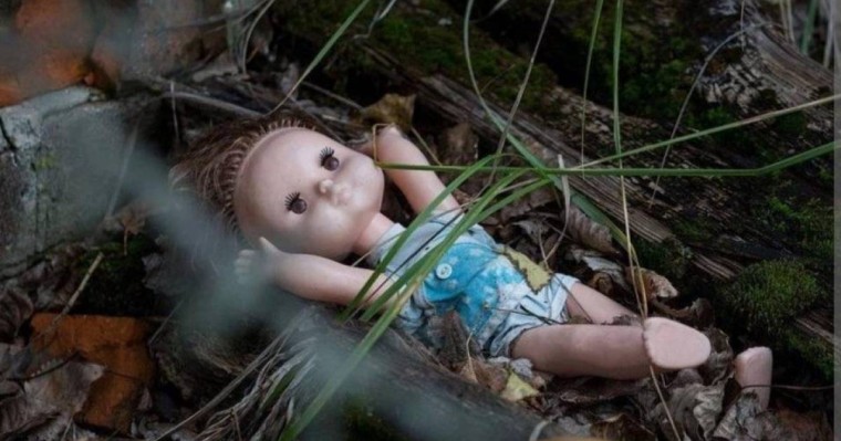 Тоқаев Түркістан облысындағы 5 жасар қыздың өлімін қатаң қадағалауды тапсырды