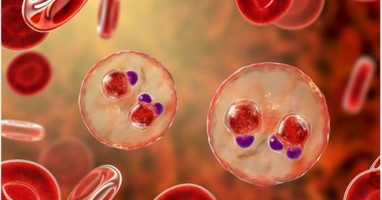 Карантин Оңтүстік-Шығыс Азияда жаңа қауіпті аурудың өршуіне себеп болды