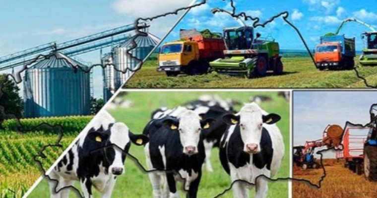 Қазақстан фермерлері Президентке алғыс білдірді