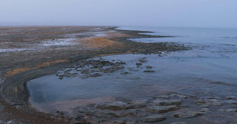 Арал теңізіне 200 млн текше метр су құйылды