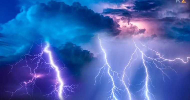 Жамбыл облысында найзағайдан бір үйір жылқы қырылып қалды