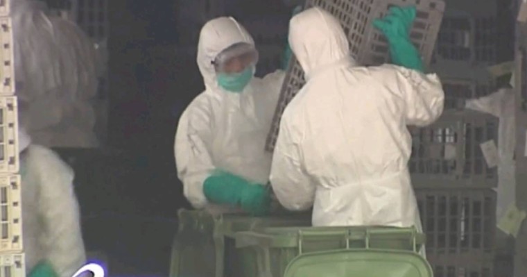 Дельта-штамм Ухань врирусына қарағанда 2 есе жұқпалы - ДДСҰ