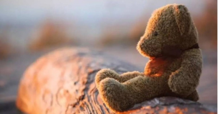 Жамбыл облысында ер адам 3-сынып оқитын екі баланы зорлады деген күдікке ілінді