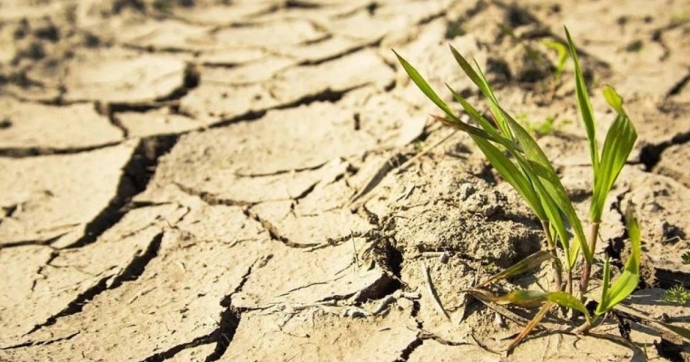 Мамырда Қазақстанның қай өңірінде құрғақшылық болатыны белгілі болды