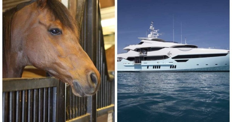 "Ат қорасы, моторлы қайық бар": Депутат ұлттық компаниялардың шығынын сынады