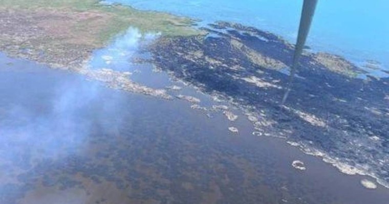 Алматы облысында 100 га жер өртеніп жатыр