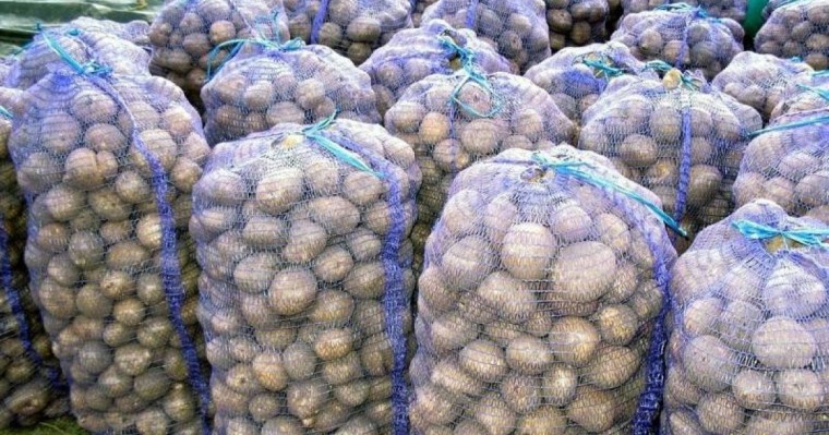 Ақтау әкімдігі  «Картоп арзандады» деген жалған ақапарат таратқан (видео)