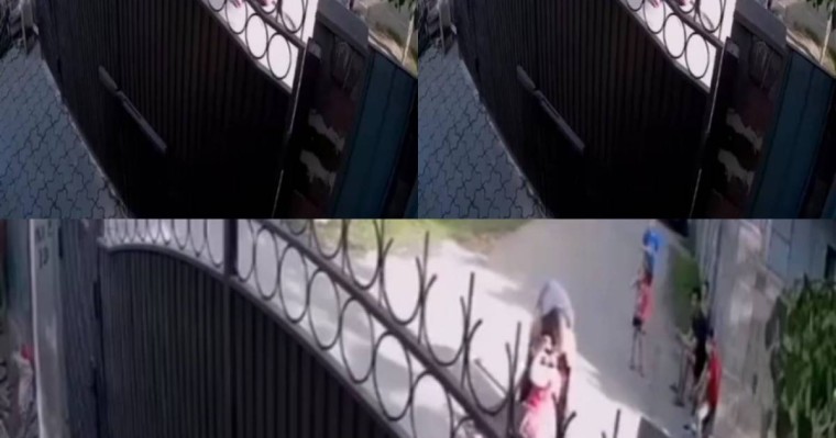 Желіде ер адамның егде жастағы әйелді аяусыз ұрып-соққан бейнежазбасы тарады