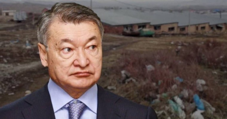 Өскеменді шошқа өндірісі мен нәжісі жайламақ