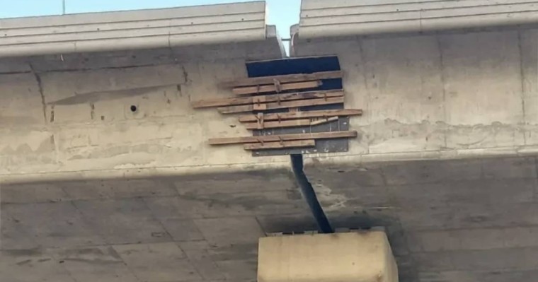 Әлеуметтік желіде Астанада ағашпен жамалған LRT тірегінің фотосы тарады