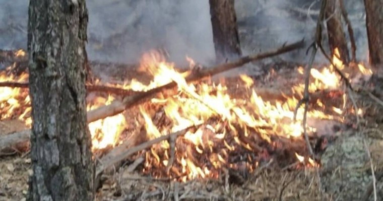 Құтқарушылар Павлодар облысы Баянауыл ауданында өртті сөндірді