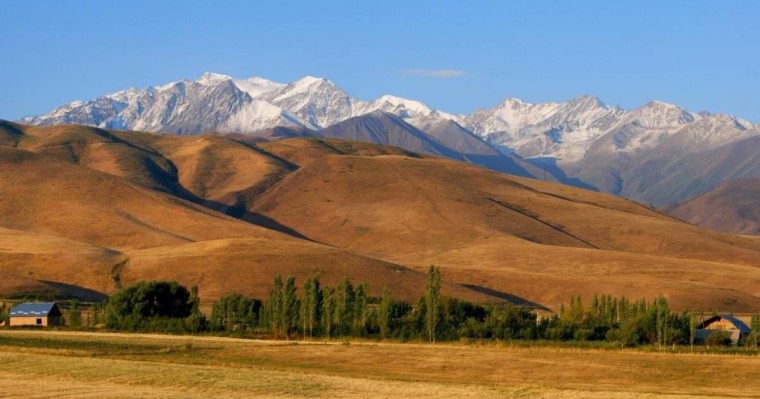 Меркі ауданында 5 мың гектарға жуық жер мемлекетке қайтарылды