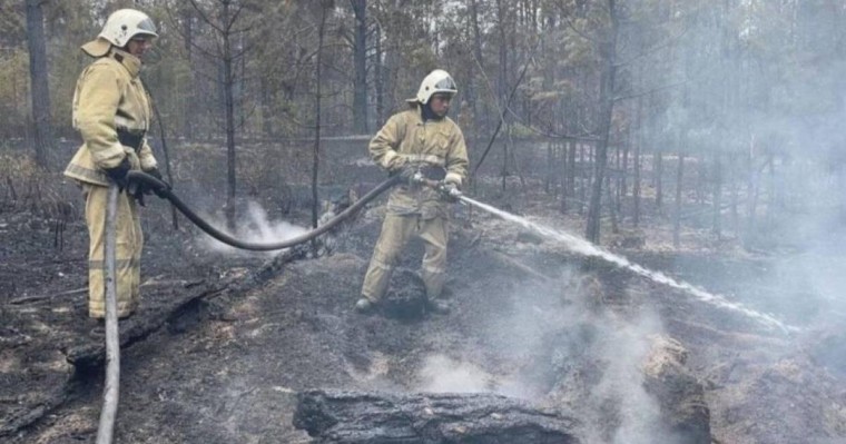 Абай облысында орман өрті оқшауланды - ТЖМ
