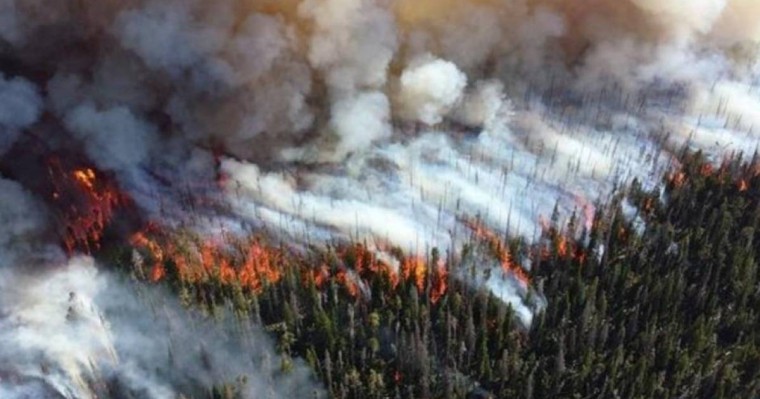 "Өрт сөндірушілерді өлімге өздері жіберді" - Смағұлов жағдайды жемқорлықпен байланыстырды