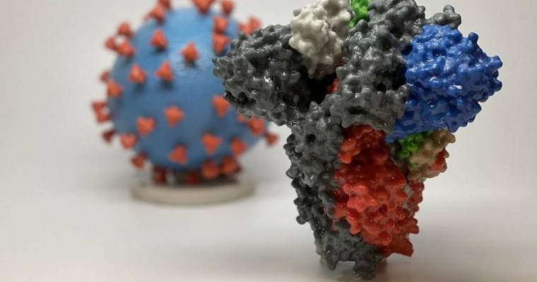 Коронавирустың мутацияланған түрі әлемді жайлап келеді. ДДСҰ мәлімдеме жасады