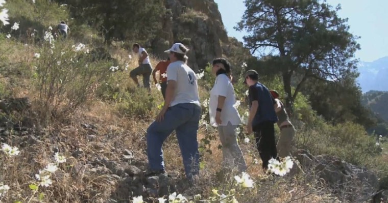 Түркістан облысында адасып кеткен үш турист туралы тың дерек шықты