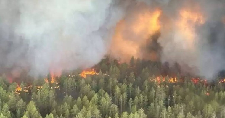 Семей облысындағы өрттің түтіні Жетісуға жетті