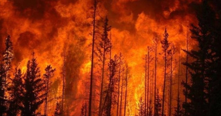 Абай облысындағы өртте 3 адам қаза тапты, 11 адам жоғалып кетті