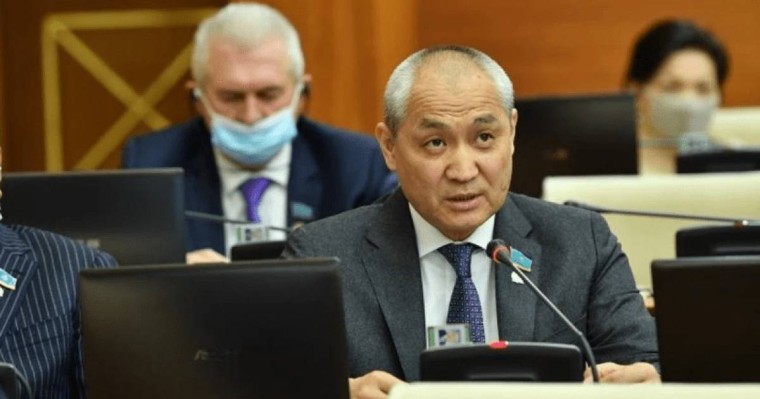 Әкімдер айналасына блогерлерді жинап алып, депутаттарға шабуыл жасайды – Еділ Жаңбыршин