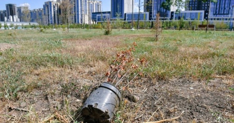 2020 жылы Нұр-Сұлтан қаласын көгалдандыруға 20 млрд. теңге бөлінген