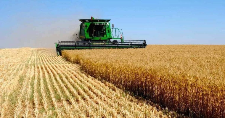 Қазақстандықтар ауыл шаруашылық жерлерін 49 жылға жалға ала алады