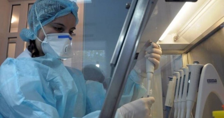 Шымкентте белгісіз вирус пайда болды