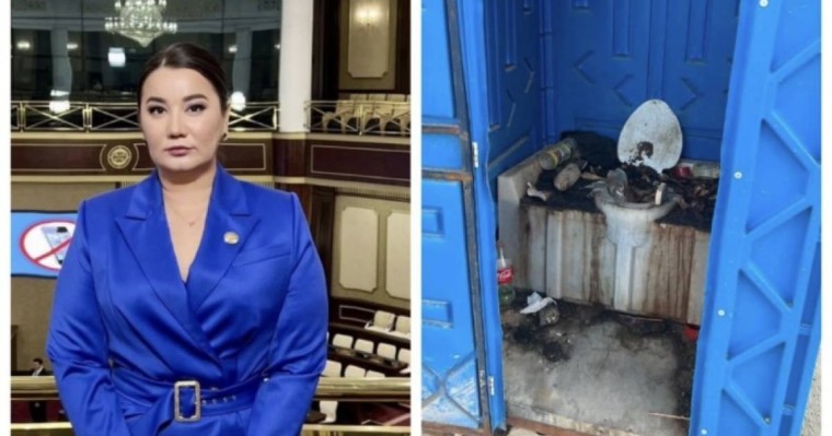 “Түркістанның әкімі Тұрашбеков туалетіңді тазала!” - Айгүл Орынбек