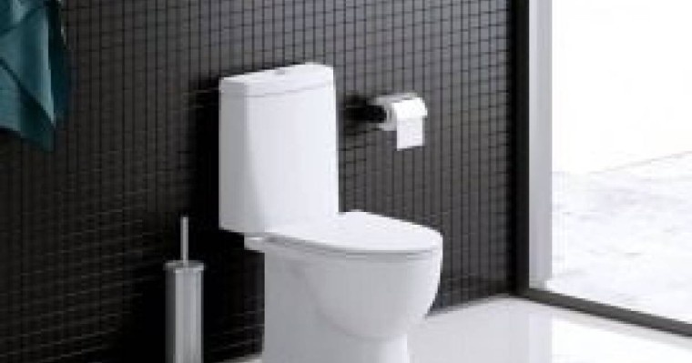 Астана әкімдігі әжетханалар салу үшін 281 миллион теңге жұмсамақ