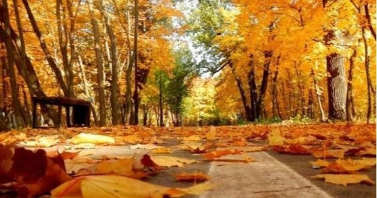 Қазақстанда күз қашанға дейін жылы болып тұрады?