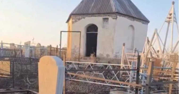 Таразда моланың ішінен шыққан ібіліс жұртты шошытты