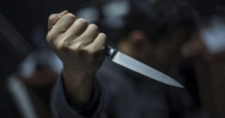 "Оқушыны пышақтап кеткен". Ақмола облысында 14 жастағы оқушы қыз қаза тапты