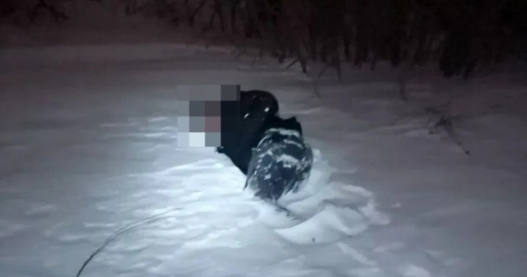 Петропавлдық зейнеткер әйел жолдан адасып, аязда тоңып қайтыс болды