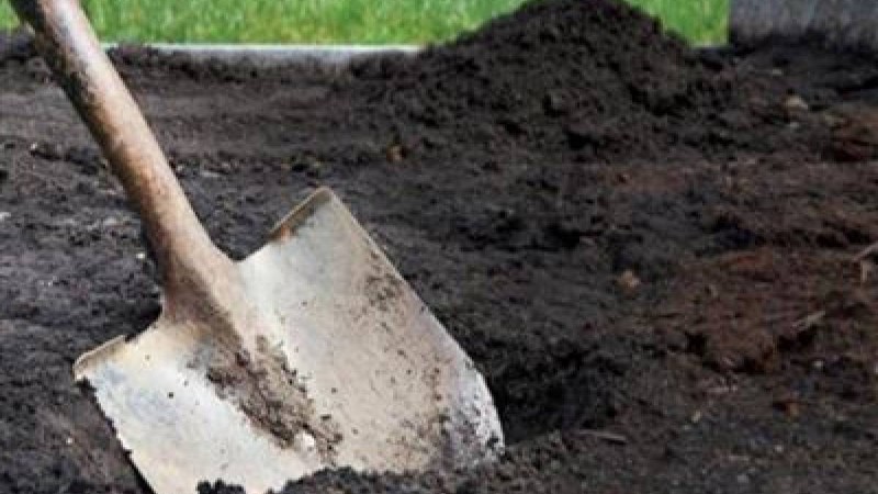 Шымкентте жас келіншекті тірідей көміп тастаған