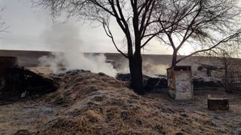 Ақтөбедегі ауылда 13 үйдің шөбін өртегендер ұсталды