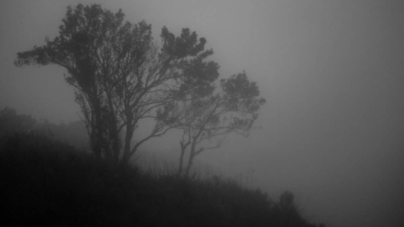 Демалыс күндері қазақстандықтарды қандай ауа-райы күтеді