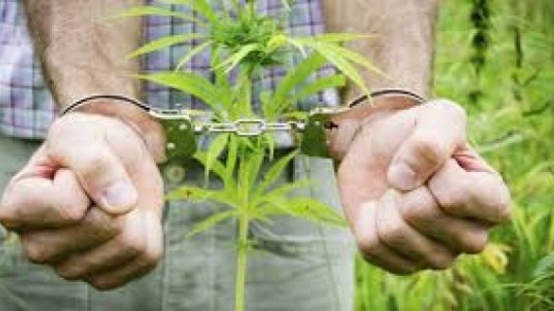 Талдықорғанда есірткі сатушы қолға түсті