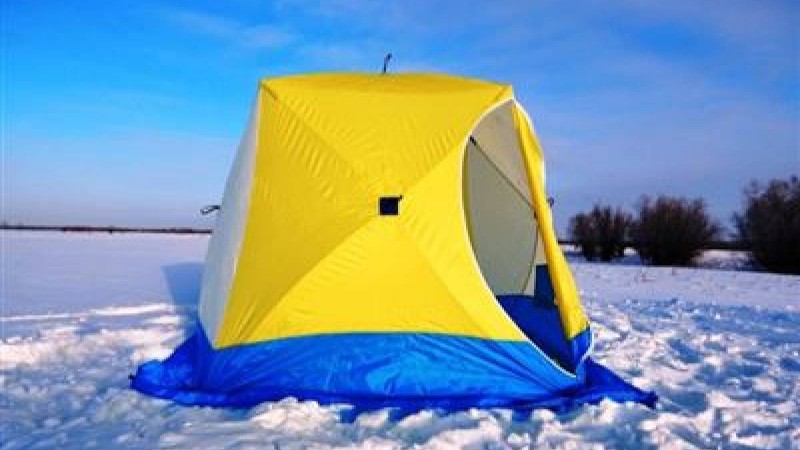 Алгоритм құрылымы слайд,презентация