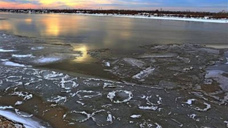 Сырдарияда бөгет бұзылып, 60 гектар жерді су басты