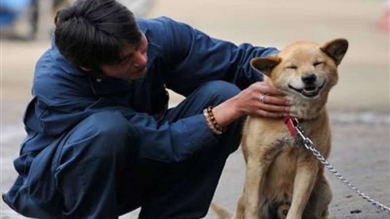 Кәрістер ит етін жеуді күрт азайтты