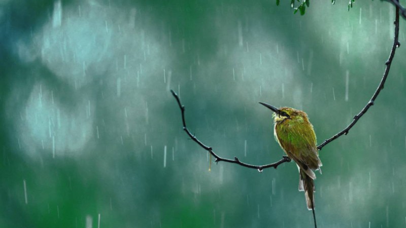 Қазақстанда сәуір айында ауа райы қандай болады - Қазақстан жаңалықтары